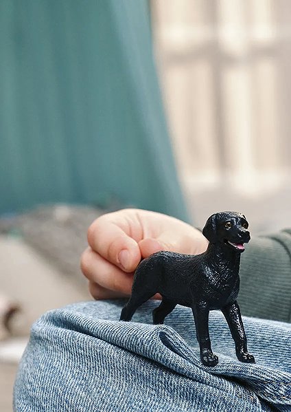 Figur Schleich Schwarzer Labrador Retriever Welpe 14922 ...