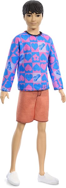 Bábika Barbie Model Ken – Modro/ružová mikina ...