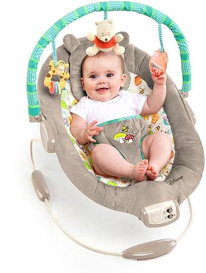 Bright Starts Winnie the Pooh Dots & Hunny vibrating bouncer with melody.