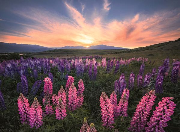 Ravensburger 120006886 Lupins puzzle.