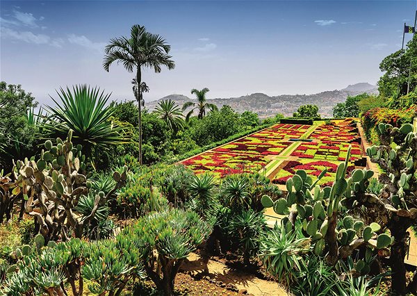 Ravensburger 120008538 Enchanting Gardens: Botanical Garden: Madeira puzzle