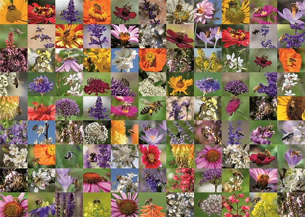 Ravensburger 120006176 Bees on Flowers puzzle .