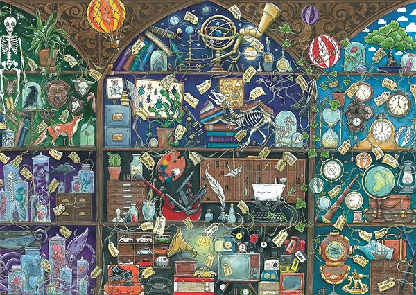 Puzzle Ravensburger 120007852 Kabinet kuriozit  ...