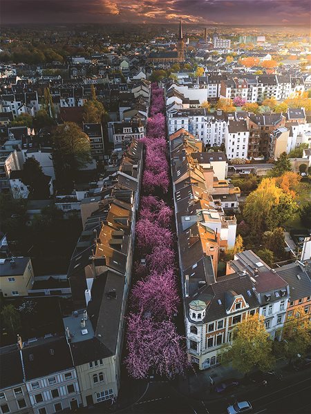 Ravensburger 120007302 Bonn in Bloom puzzle .