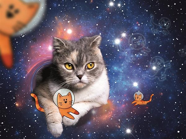 Ravensburger 120007425 Cat in Space puzzle .
