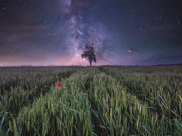 Ravensburger 120007999 Field under a Starry Sky puzzle.