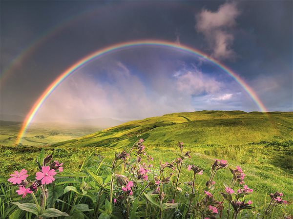 Ravensburger 120008002 Magic Rainbow puzzle.