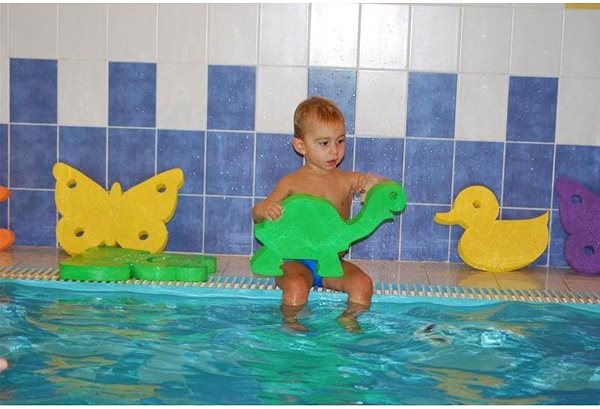 Swimming board Tutee Turtle .
