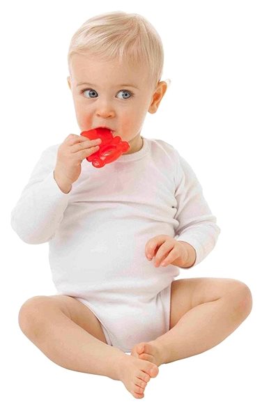 Playgro Panda Teether .