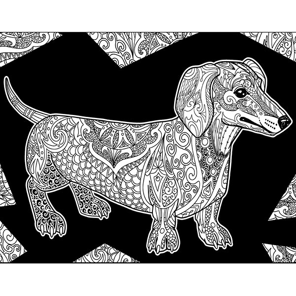 colouring page colourvelvet Velvet picture of a dachshund .