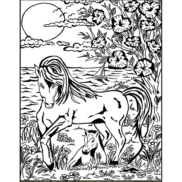 colouring page colourvelvet Velvet picture Horses .