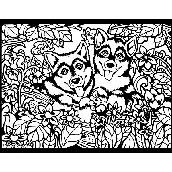 colouring page colourvelvet Velvet picture of a Husky .