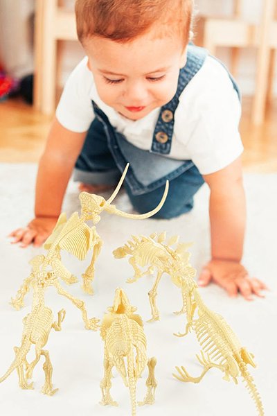 Figur Mideer Modell eines PTERANODON-Skeletts ...