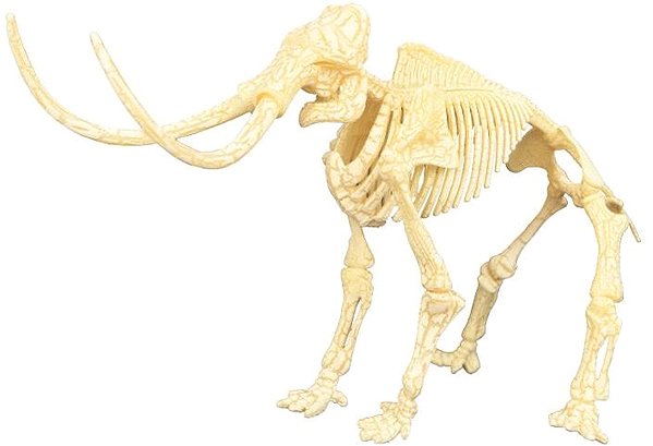 Figur Mideer Modell eines MAMMUT-Skeletts ...