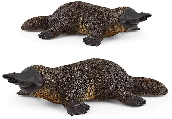 Figure Schleich 14840 Animal - Finch Lateral view