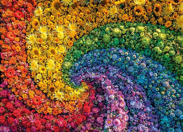 Puzzle Puzzle 1000 vír – colorboom ...
