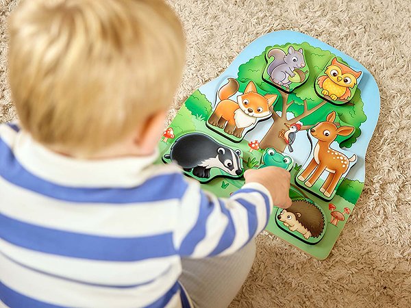 Orchard Toys Woodland Animals shape sorter.