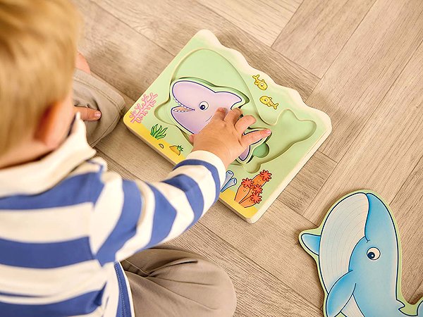 Orchard Toys Under the Sea shape sorter.