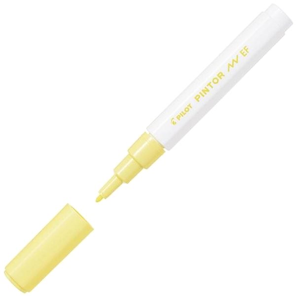 Markers PILOT Pintor Extra Fine Pastel, set of 6 Screen