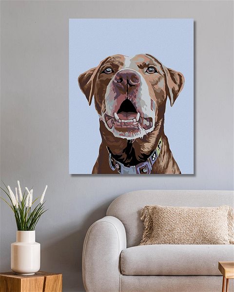Diamantové malování Diamondi - HNĚDÝ LABRADOR, 40x50 cm, vypnuté plátno na rám ...