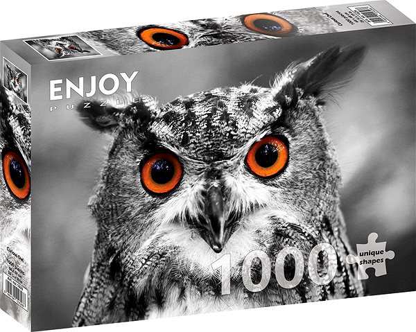 ENJOY Curious Owl 1000-piece puzzle.