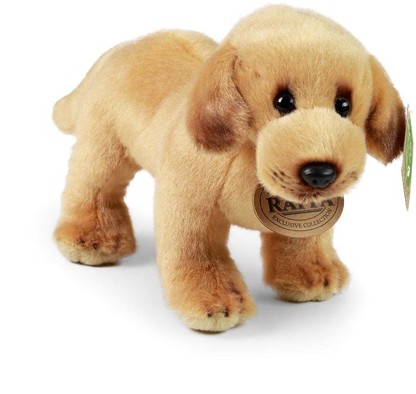 Plyšák RAPPA Plyšový labrador stojící 20 cm, Eco-Friendly ...