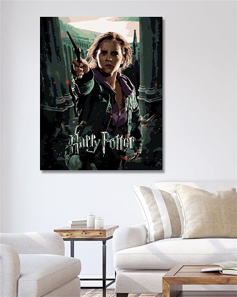 Maľovanie podľa čísel Plagát Harry Potter a relikvie smrti Hermiona, 40×50 cm, vypnuté plátno na rám ...