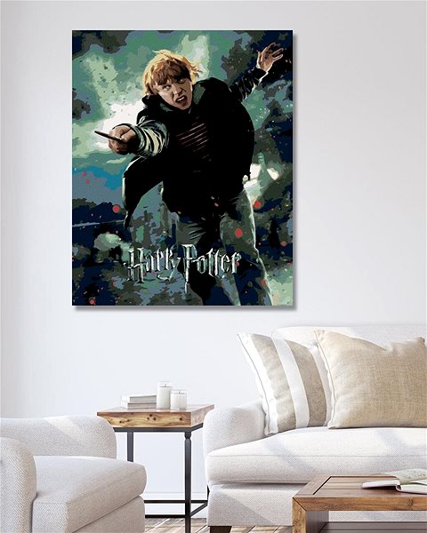 Maľovanie podľa čísel Plagát Harry Potter a relikvia smrti Ron, 40 × 50 cm, plátno napnuté na rám ...