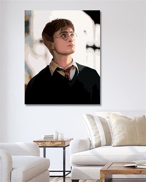 Maľovanie podľa čísel Portrét Harry Potter, 40×50 cm, bez rámu a bez vypnutia plátna ...