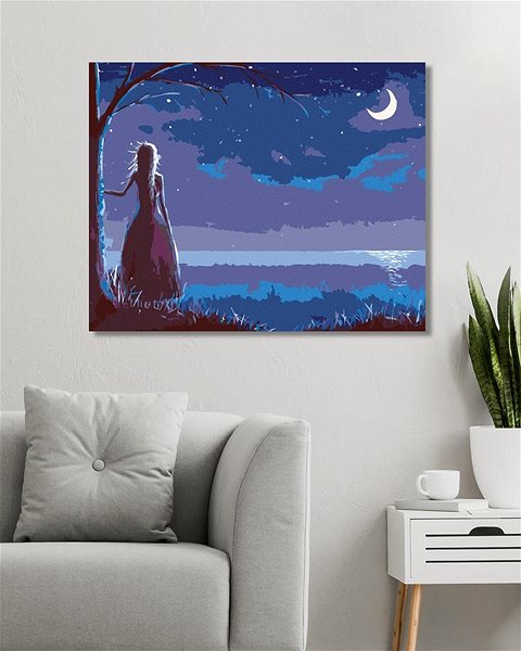 Maľovanie podľa čísel Princezná pozerajúca sa na mesiac, 80 × 100 cm, bez rámu a bez napnutia plátna ...