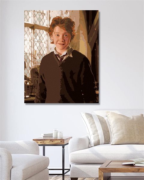 Malování podle čísel Ron v učebně (Harry Potter), 40×50 cm, vypnuté plátno na rám ...