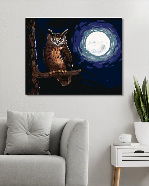 Maľovanie podľa čísel Sova a svit mesiaca, 80 × 100 cm, bez rámu a bez napnutia plátna ...
