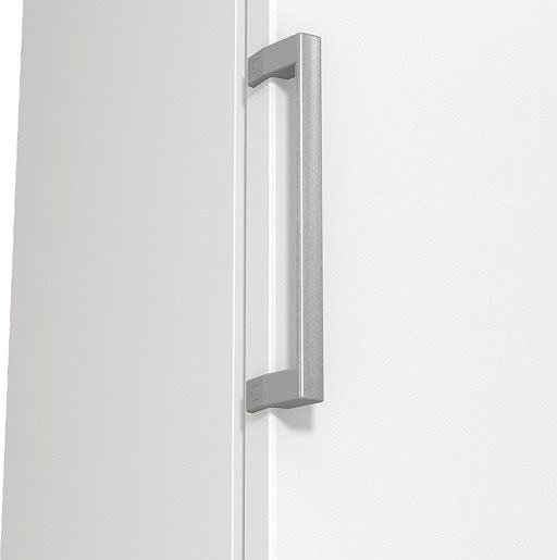 Upright Freezer GORENJE FN619EEW5 ...