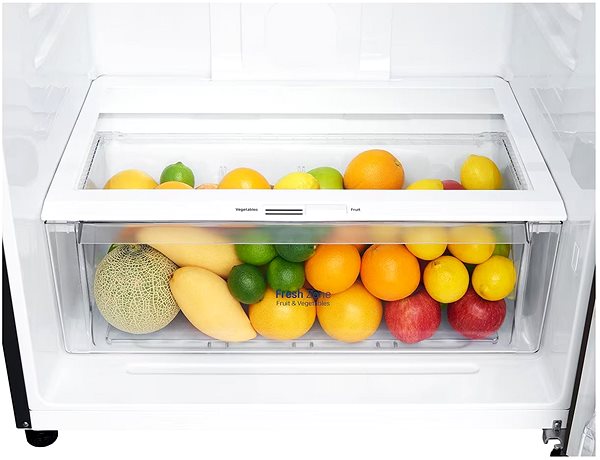 Refrigerator LG GTF744BLPED .