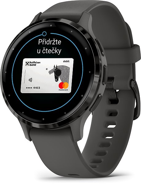 Smart Watch Garmin Venu 3S Slate/Gray Band ...