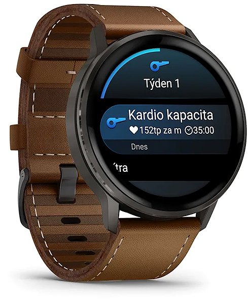Smart Watch Garmin Venu 4 45mm Slate/Leather Band ...