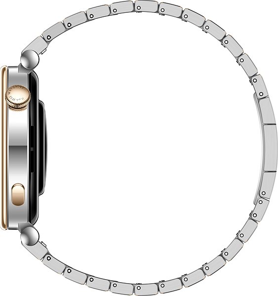 Smart hodinky Huawei Watch GT 4 41 mm Stainless Steel Strap ...