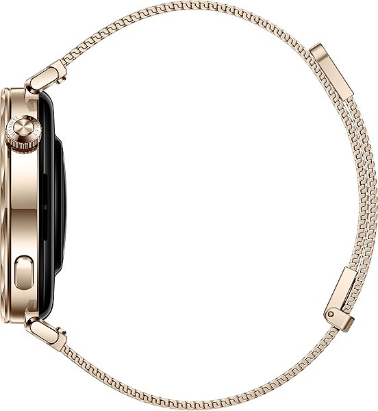 Smart Watch Huawei Watch GT 5 41 mm Milanese ...