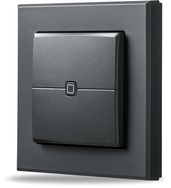 Remote control Wall mounted remote control - 2 buttons, anthracite - HmIP-WRC2-A .