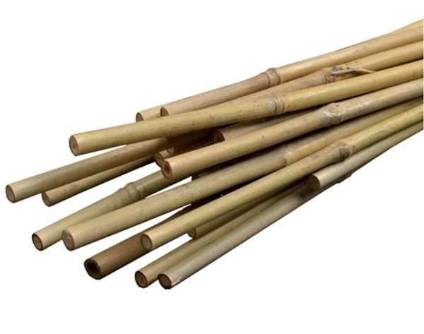 Növénytámasz Igotrend Növénytámasz, bambusz, 2-2,2×220 cm ...