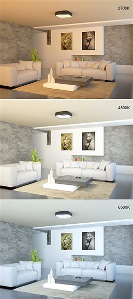 Ceiling Light Immax NEO TOPAJA 07029L Smart, 45cm, 36W, Black Features/technology