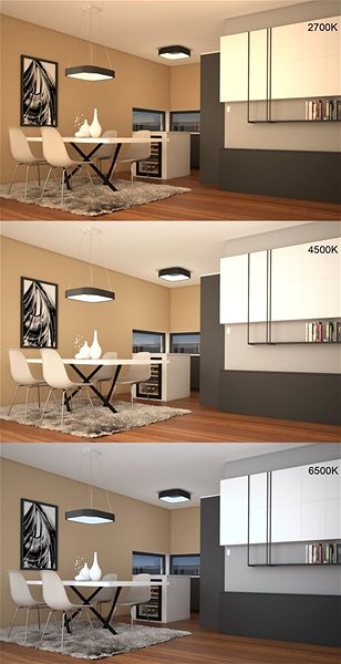 Ceiling Light Immax NEO TOPAJA 07035L Smart, 60cm, 47W, Black Features/technology
