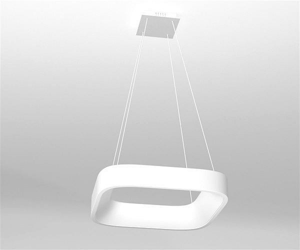 Ceiling Light Immax NEO TOPAJA 07035L Smart, 60cm, 47W, White Lifestyle