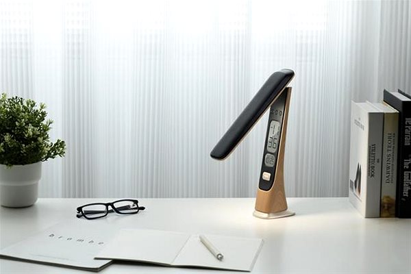 Tischlampe IMMAX WOOD LED mit eingebautem Akku, CCT, dimmbar ...