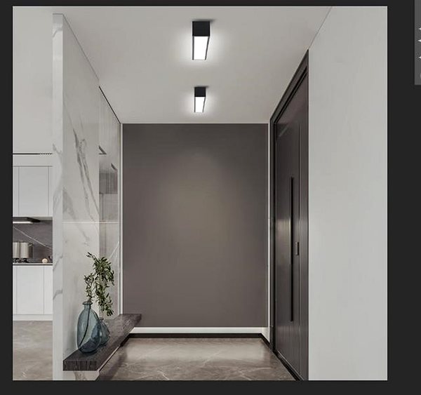 Ceiling Light IMMAX NEO LITE LUNGO Smart, Black, 58 cm 20W 1520lm Tuya WiFi BEACON ...