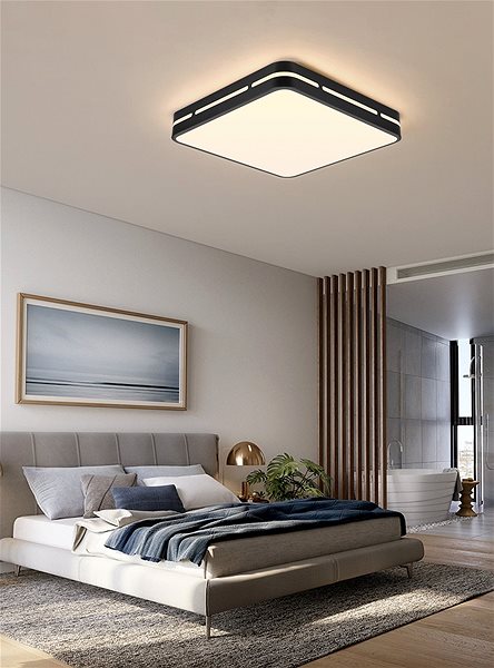 Ceiling Light Immax NEO LITE PERFECTO Smart ceiling light square 30cm, 24W black Tuya Wi-Fi Lifestyle