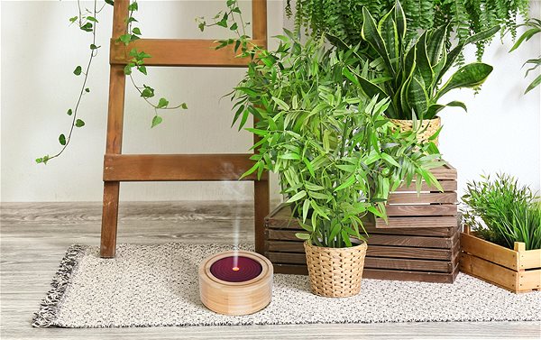 Aroma Diffuser  Innobiz Ultrasonic diffuser Elia ...