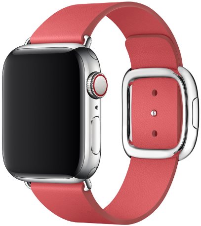 Apple 40mm Peony Pink Modern Buckle Band - Small - Watch Strap