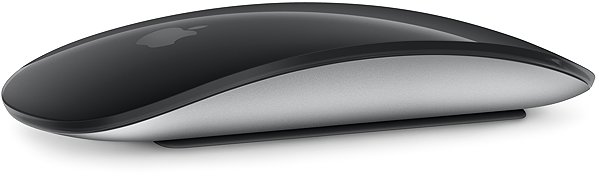 Maus Apple Magic Mouse 2024 - Schwarz ...