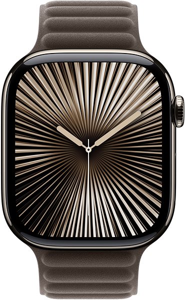 Armband Apple Watch 46mm grau-braun magnetischer Zug - M/L ...